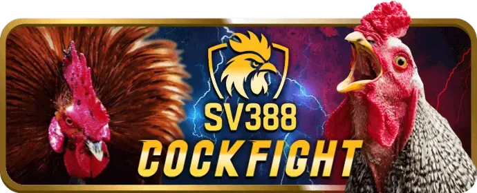 Biểu ngữ khuyến mãi chào mừng thành viên mới hi88bet đăng nhập