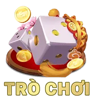 Thanh toán trực tuyến